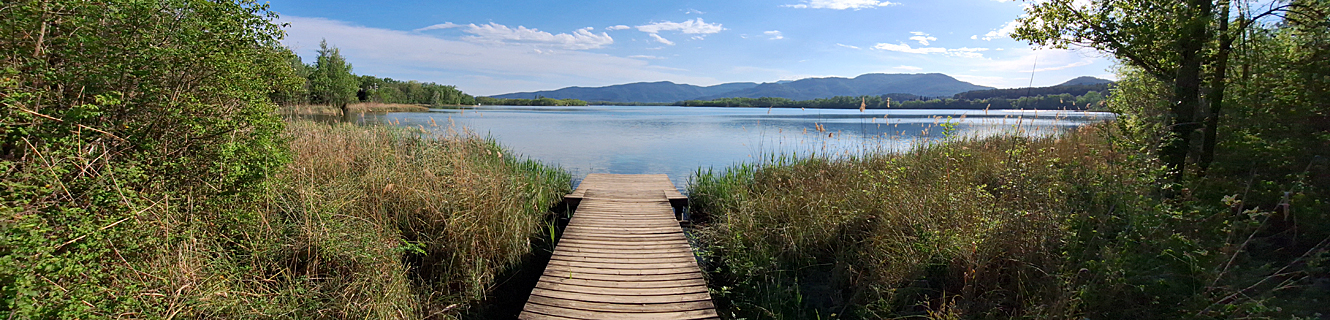 Estany de Banyoles